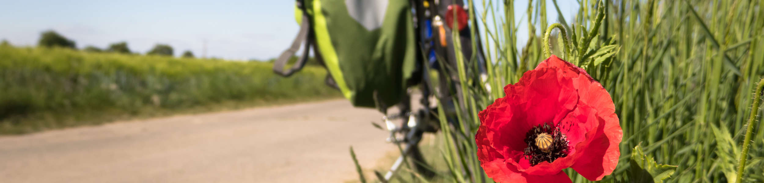 Kaufmännische Berufe