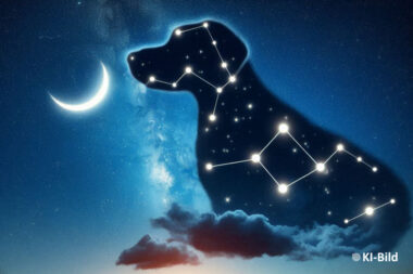 Schon gewusst? Das sind die „Hundstage“
