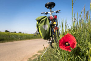 Fahrrad