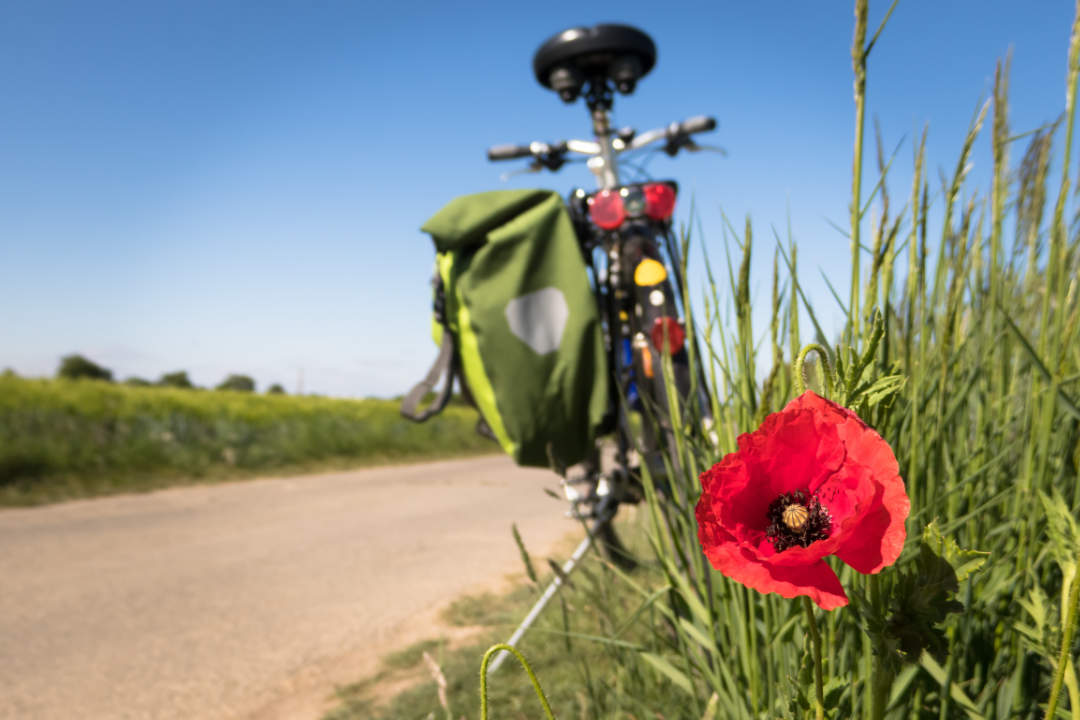 Fahrrad